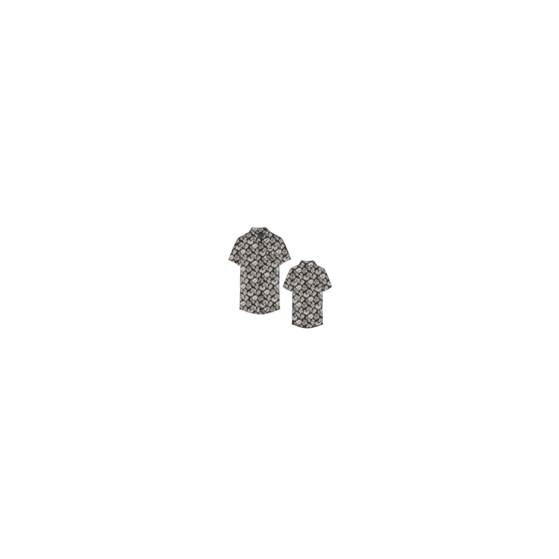 c-fmonstera mc